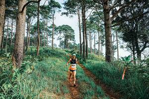 BIB: 
                            <button type="button" onclick="openModal(25652861)" class="btn btn-primary btn-sm float-right btn-popup" data-toggle="modal" data-target=".modal-high-quality">
                        <i class="fas fa-shopping-cart"></i> Add to Cart
                    </button>
                                            <button type="button" onclick="isThisMe(25652861, true)" class="btn btn-success btn-sm float-right btn-popup btn-isme hidden" data-toggle="tooltip" data-placement="bottom" title="นี่คือรูปของคุณใช่ไหม คลิกที่นี่เพื่อเอาเข้าอัลบั้ม">
                        <i class="fas fa-plus"></i> Add to album
                    </button>
                    <button type="button" onclick="isThisMe(25652861, false)" class="btn btn-warning btn-sm float-right btn-popup btn-isnotme hidden">
                        <i class="fas fa-ban"></i> Remove from album
                    </button>